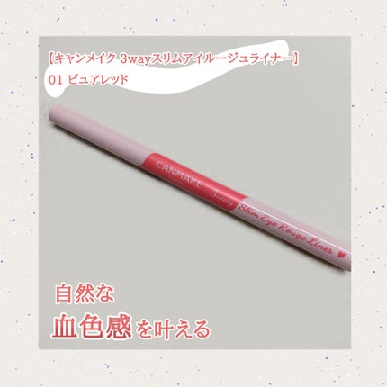 3wayスリムアイルージュライナー/キャンメイク/リキッドアイライナーを使ったクチコミ(1枚目)