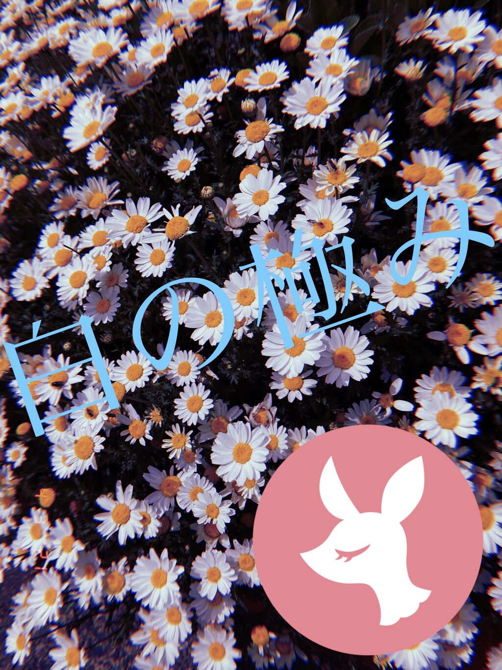 ホワイトマスクN/透明白肌/シートマスク・パックを使ったクチコミ（1枚目）