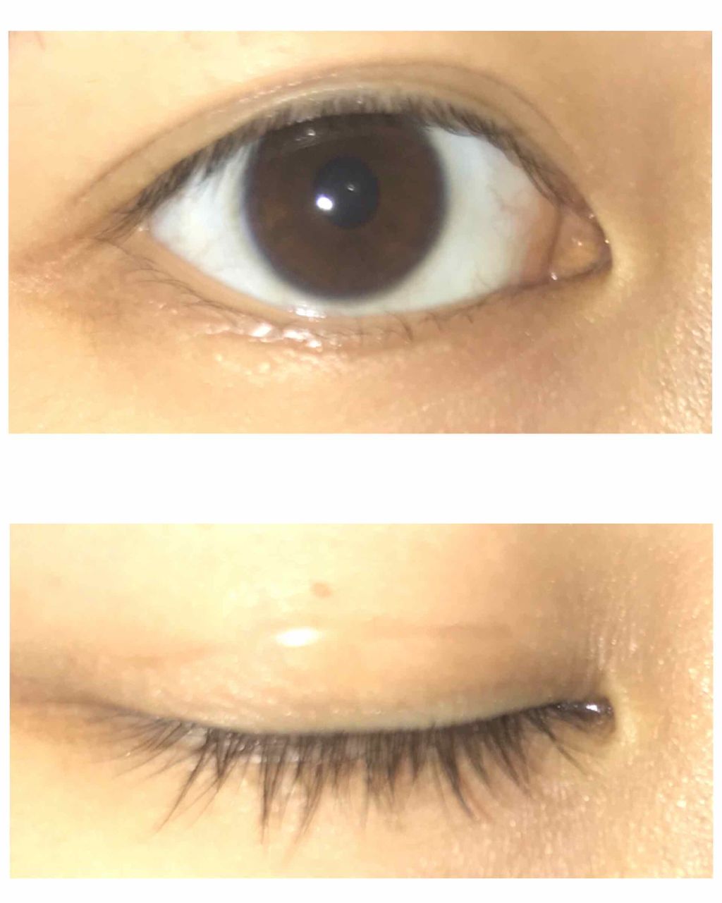 のびーるアイテープ（絆創膏タイプ、レギュラー）/DAISO/二重まぶた用アイテムを使ったクチコミ（2枚目）