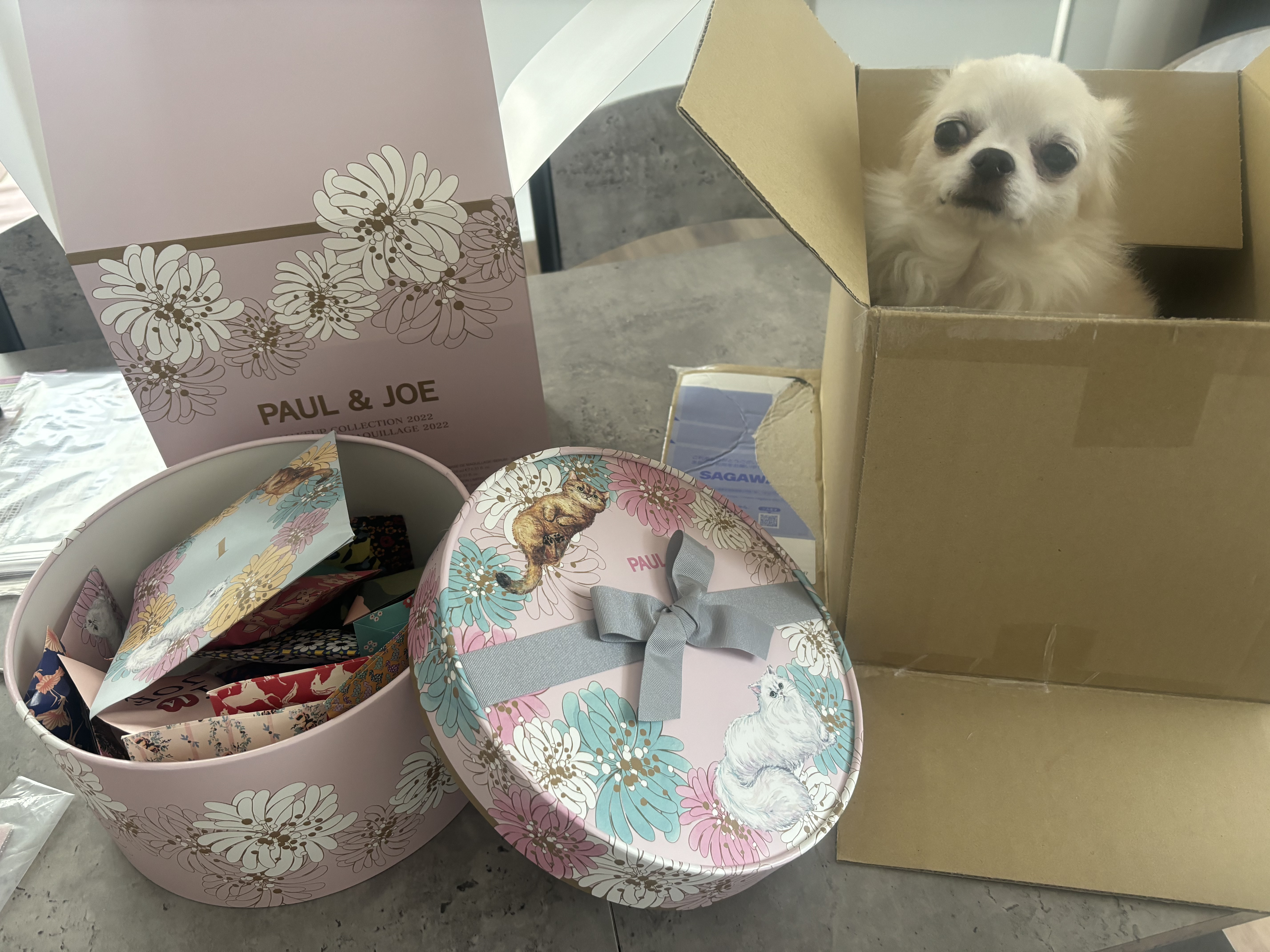  メイクアップ コレクション 2022/PAUL & JOE BEAUTE/メイクアップキットを使ったクチコミ（1枚目）