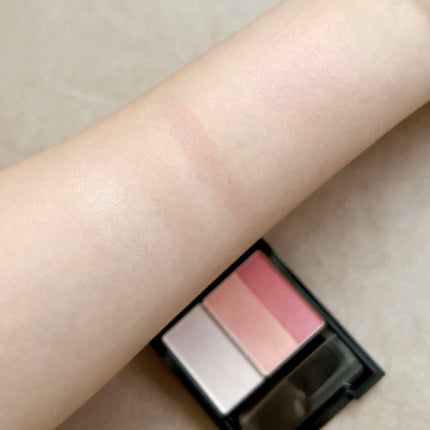 スキンフィットチーク ケース(ブラシ付)/リサージ/パウダーチークの画像