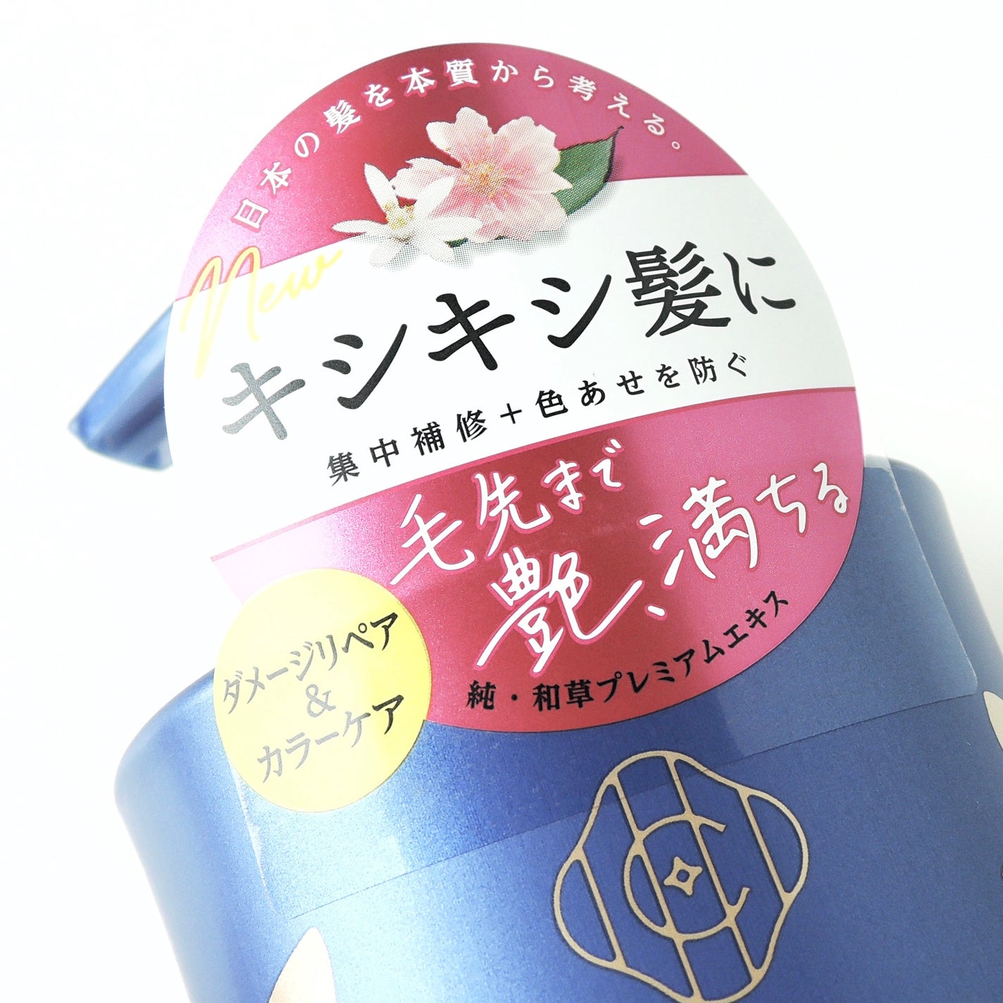 ãã¡ãŒãžãªãã¢ïŒã«ã©ãŒã±ã¢ ã·ã£ã³ããŒ/ã³ã³ãã£ã·ã§ããŒ/ãã¡é«ª/åžè²©ã·ã£ã³ããŒã䜿ã£ãã¯ãã³ãïŒ2æç®ïŒ