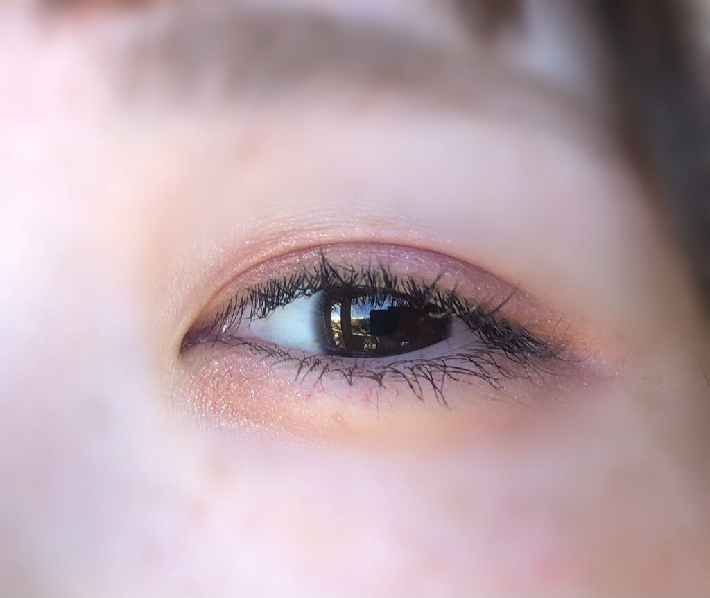 グロッシーリッチ アイズ N/Visée/アイシャドウパレットを使ったクチコミ（3枚目）