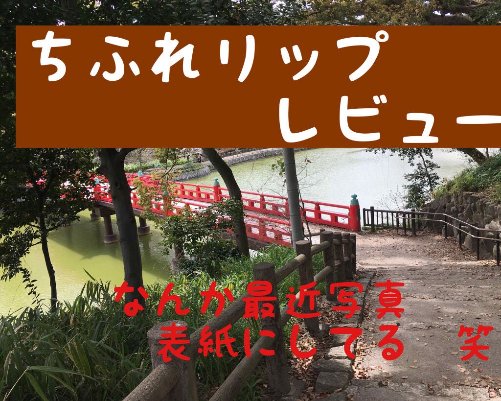 口紅(詰替用)/ちふれ/口紅を使ったクチコミ(1枚目)
