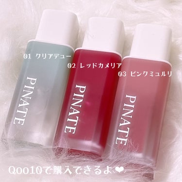 ナチュラルブルームリップオイルセラム 3色セット/PINATE/リップグロスを使ったクチコミ（3枚目）