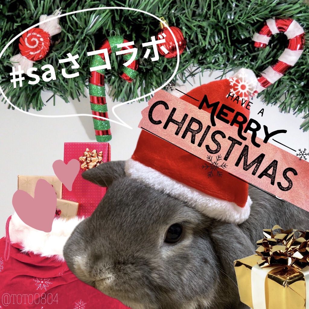 【旧】サンク クルール クチュール/Dior/アイシャドウパレットを使ったクチコミ（1枚目）