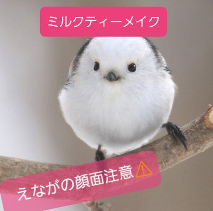 ナチュラル チークN/CEZANNE/パウダーチークを使ったクチコミ(1枚目)