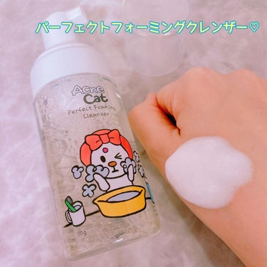 perfect foaming cleanser/Acne Cat/泡洗顔を使ったクチコミ（3枚目）