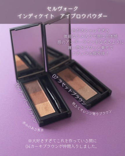 セルヴォーク インディケイトアイブロウパウダー/Celvoke/パウダーアイブロウを使ったクチコミ(3枚目)