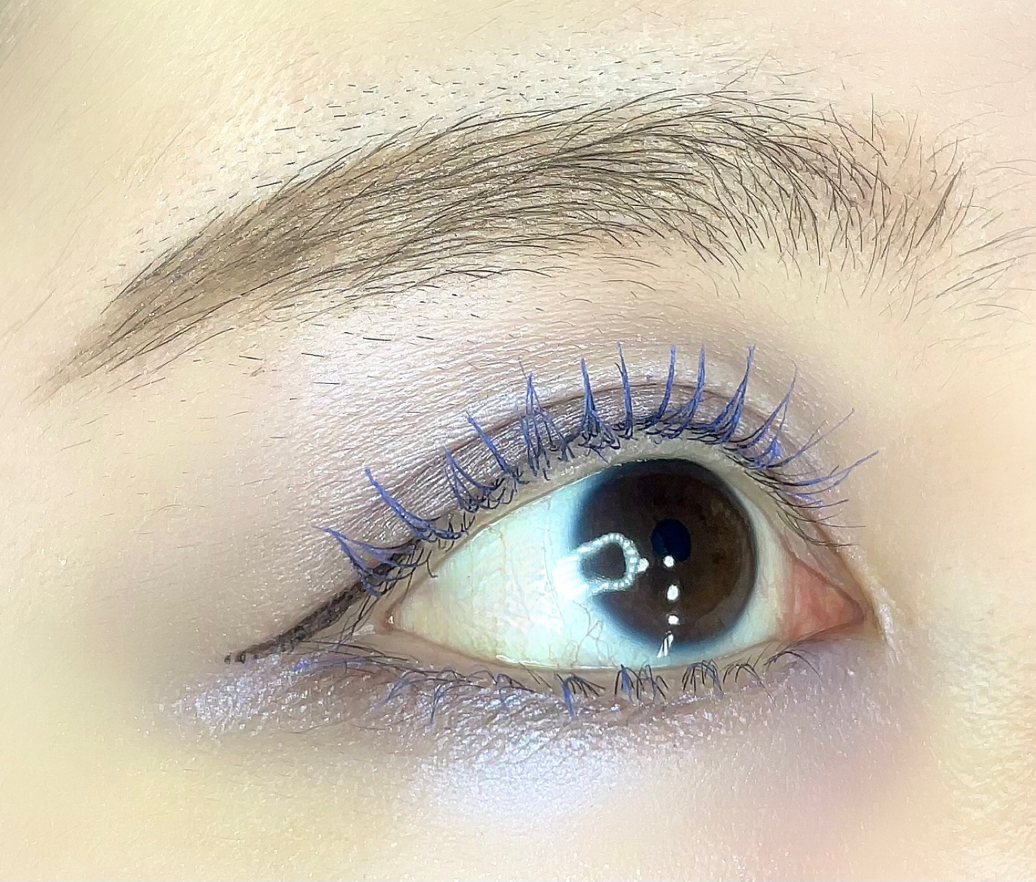 コンスピキュアス アイズ リミテッドコレクション a/Amplitude/アイシャドウパレットを使ったクチコミ（2枚目）