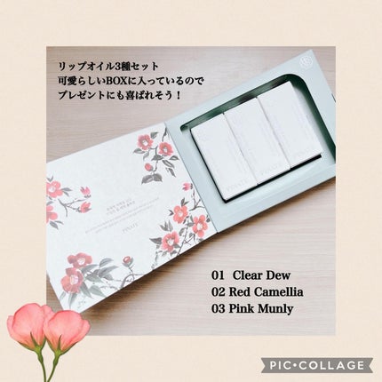 ナチュラルブルームリップオイルセラム 3色セット/PINATE/リップグロスを使ったクチコミ(5枚目)