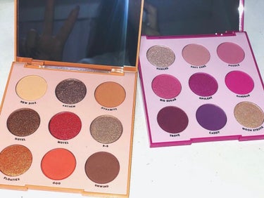 shadow pallet ooh la la！/ColourPop/パウダーアイシャドウを使ったクチコミ（2枚目）