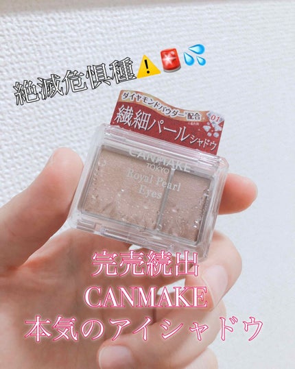 ロイヤルパールアイズ/キャンメイク/アイシャドウパレットを使ったクチコミ(1枚目)