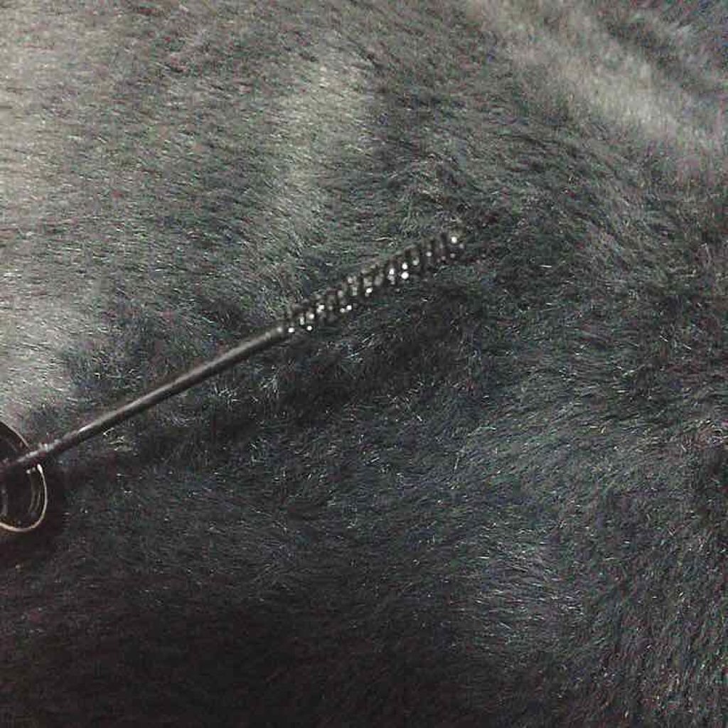 ラッシュフレームマスカラ/キャンメイク/マスカラを使ったクチコミ（2枚目）