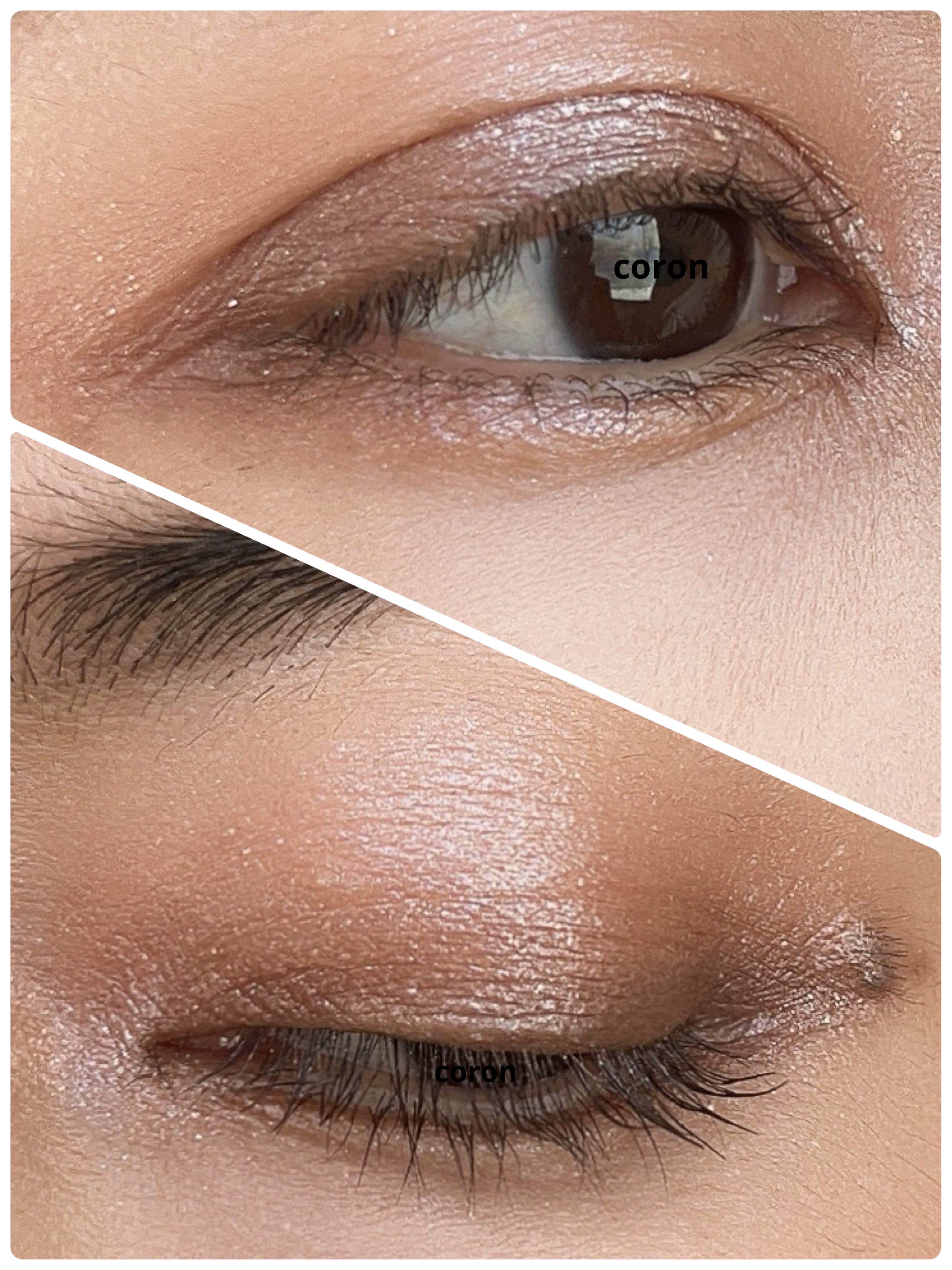 パーフェクトエクステンション マスカラ/D-UP/マスカラを使ったクチコミ（2枚目）