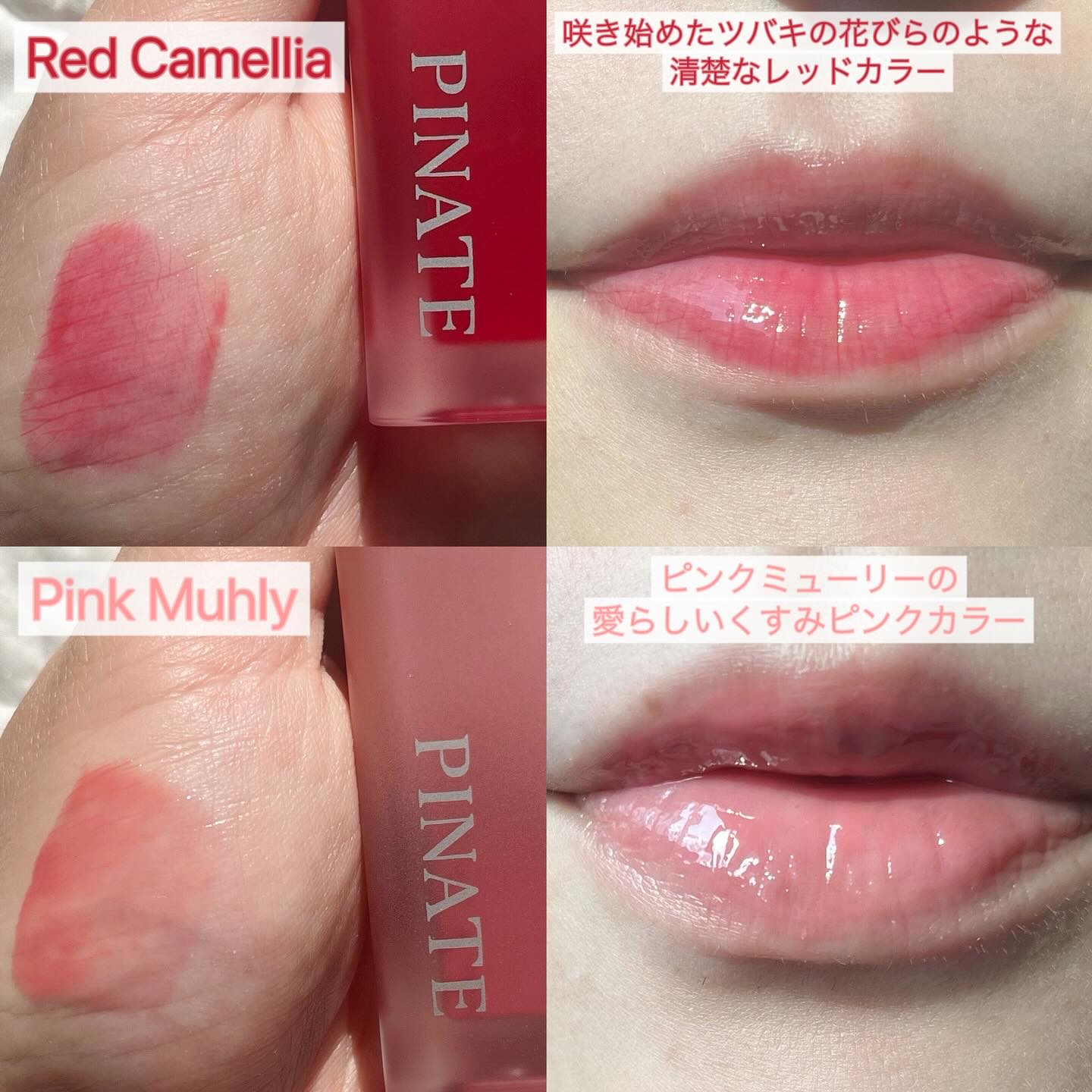 ナチュラルブルームリップオイルセラム 3色セット/PINATE/リップグロスを使ったクチコミ（2枚目）