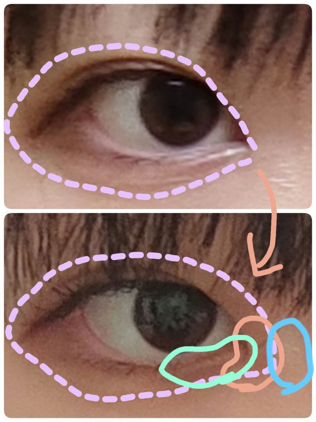 パーフェクトマルチアイズ/キャンメイク/アイシャドウパレットを使ったクチコミ（2枚目）