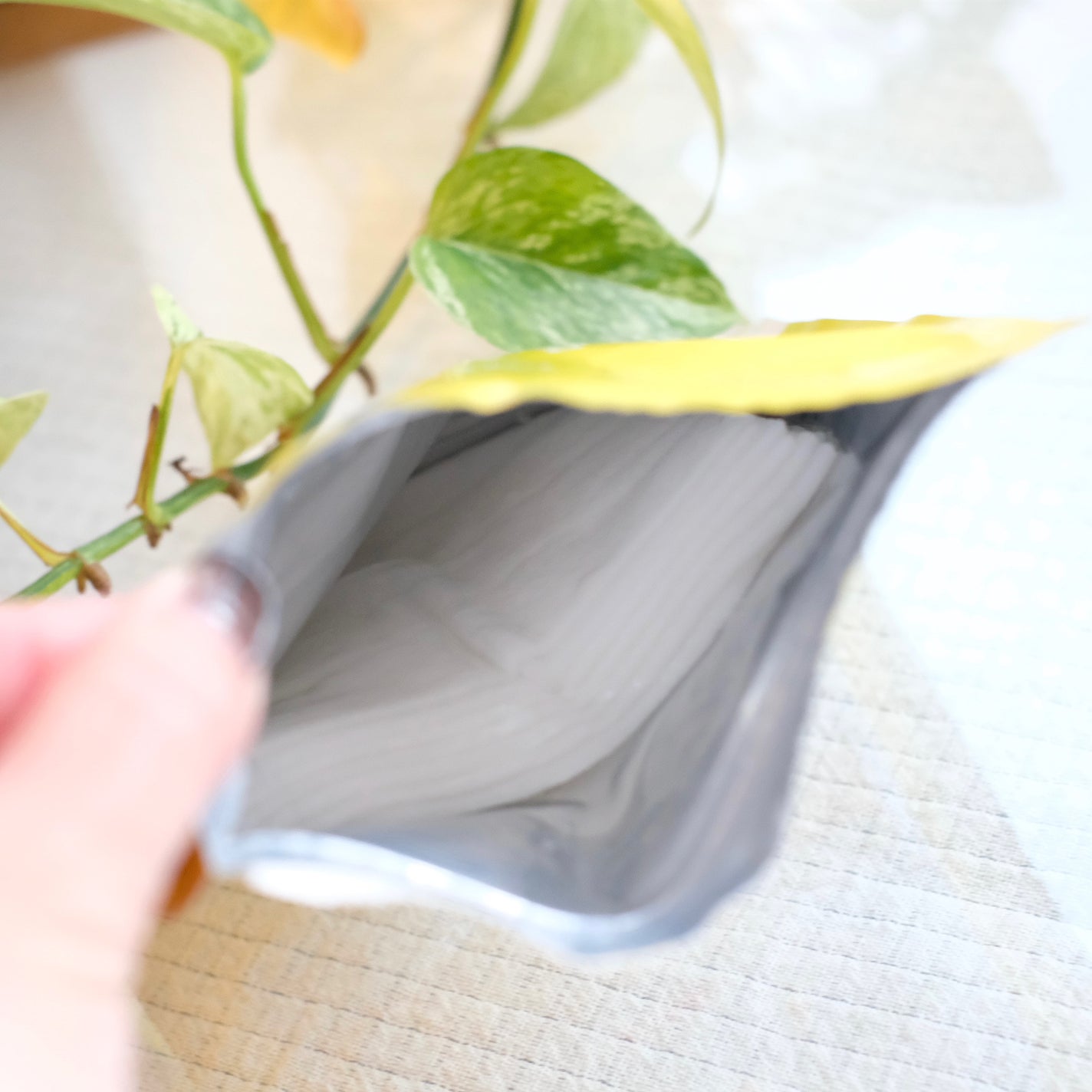 ルルルン ハイドラ V マスク/ルルルン/シートマスク・パックを使ったクチコミ(3枚目)