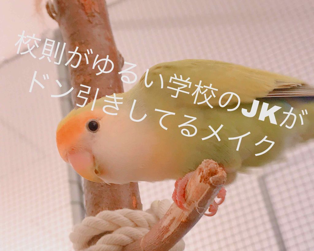 あーねん on LIPS 「こんばんわんだほー(大好きな約ネバの出水先生のTwitterの..」(1枚目)