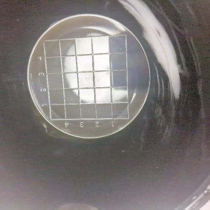 ウエラ カラースタジオ プレカラートリートメント/ウエラ/洗い流すヘアトリートメントを使ったクチコミ(4枚目)