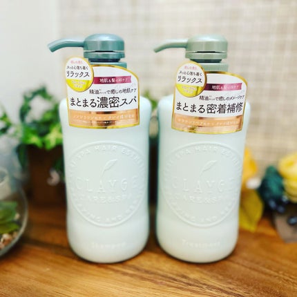 シャンプー/トリートメントR /CLAYGE/シャンプー・コンディショナーを使ったクチコミ(1枚目)