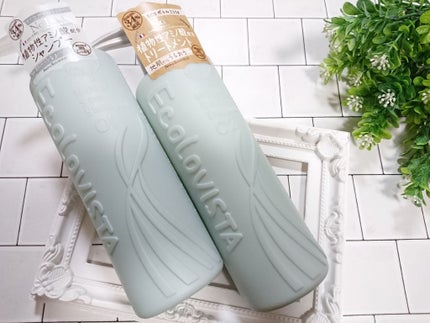 シャンプー(モイスト スパ) /ヘアトリートメント(モイスト スパ)/ECOLOVISTA(エコロヴィスタ)/市販シャンプーを使ったクチコミ(4枚目)