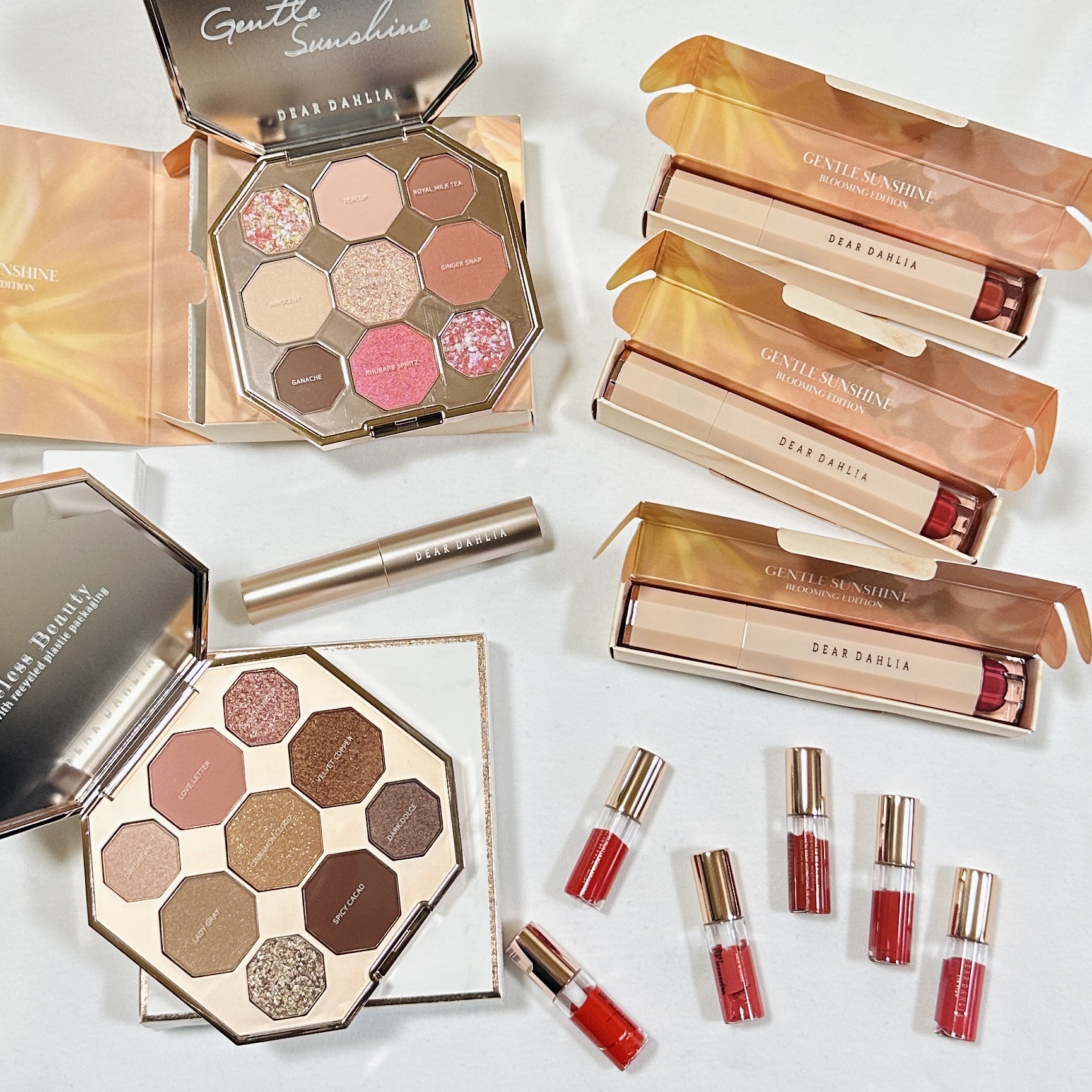 ブルーミングエディション サテングローリップ ステイン ラスト/DEAR DAHLIA/口紅を使ったクチコミ（1枚目）