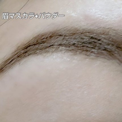 カラーリングアイブロウ/ヘビーローテーション/眉マスカラを使ったクチコミ(6枚目)