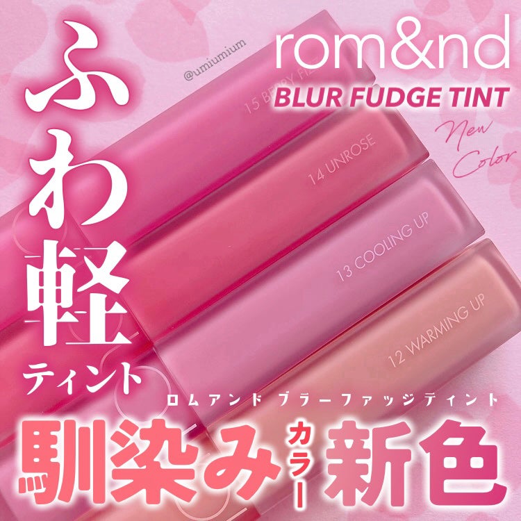 rom&nd ブラーファッジティント/rom&nd/リップティントを使ったクチコミ(1枚目)