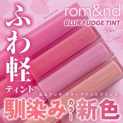 rom&nd ブラーファッジティント/rom&nd/リップティントを使ったクチコミ(1枚目)