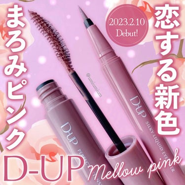 【旧】サンク クルール クチュール/Dior/アイシャドウパレットを使ったクチコミ（1枚目）