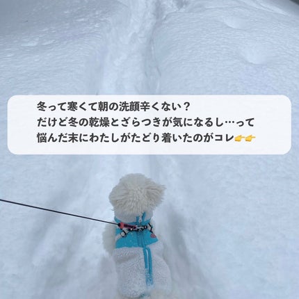 ネイチャーコンク 薬用クリアローション/ネイチャーコンク/拭き取り化粧水を使ったクチコミ(2枚目)