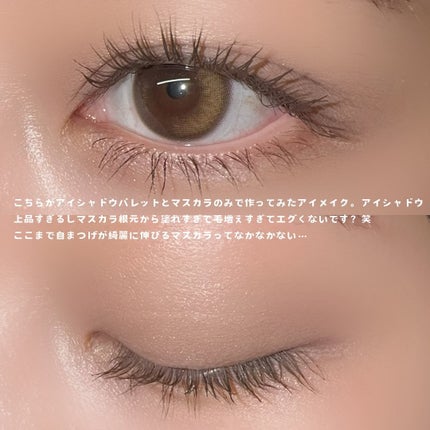 MDショールモーメント アイシャドウパレット/mude/アイシャドウパレットを使ったクチコミ(4枚目)