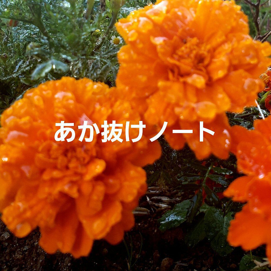 みう on LIPS 「あか抜けノートお約束毎日すること!1.お風呂に浸かる!2.マッ..」(1枚目)