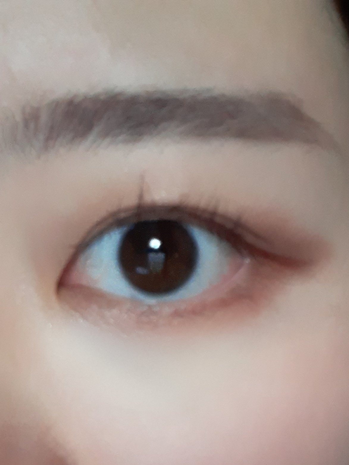 オールデイ ロング アンド カール マスカラ/Milk Touch/マスカラを使ったクチコミ（2枚目）