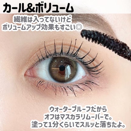 ラッシュキープマスカラ/Ririmew/マスカラを使ったクチコミ(5枚目)