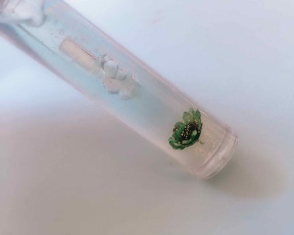 HANAリップティント/ハイジドルフ/リップティントを使ったクチコミ(2枚目)