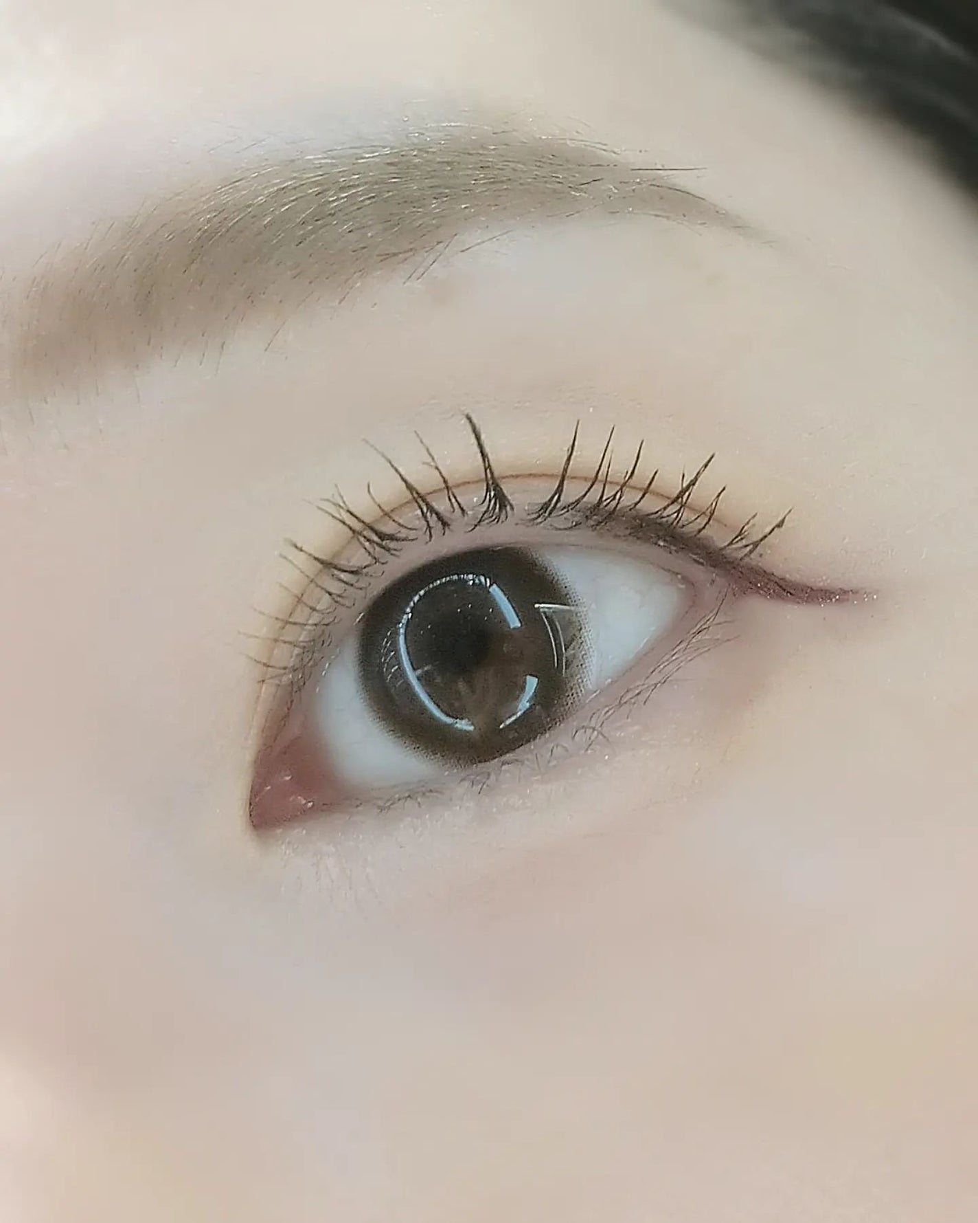 ハイパーリフトマスカラ/D-UP/マスカラを使ったクチコミ(3枚目)