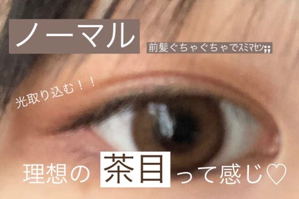 MOLAK 1day/MOLAK/ワンデー(1DAY)カラコンを使ったクチコミ(2枚目)