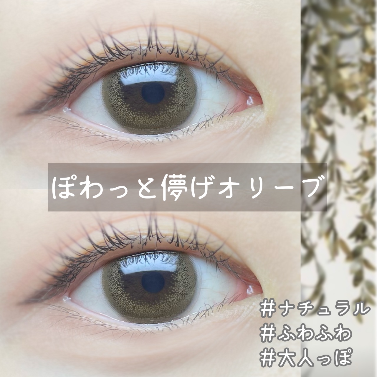  １DAY Refrear elebelle/Refrear/ワンデー（１DAY）カラコンを使ったクチコミ（1枚目）