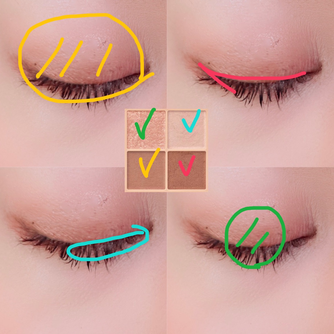 ベージュトーンアイシャドウ/CEZANNE/アイシャドウパレットを使ったクチコミ（2枚目）