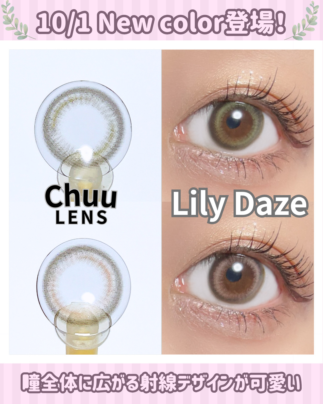 Lily Daze/chuu LENS/ワンデー（１DAY）カラコンを使ったクチコミ（1枚目）