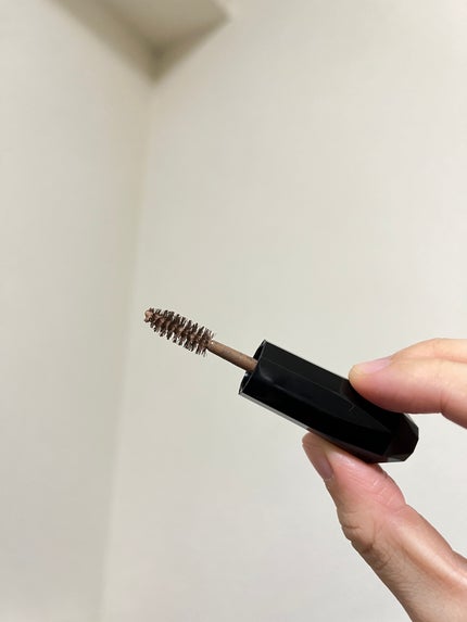 ヘビーローテーション カラーリングアイブロウEX/ヘビーローテーション/眉マスカラを使ったクチコミ(2枚目)