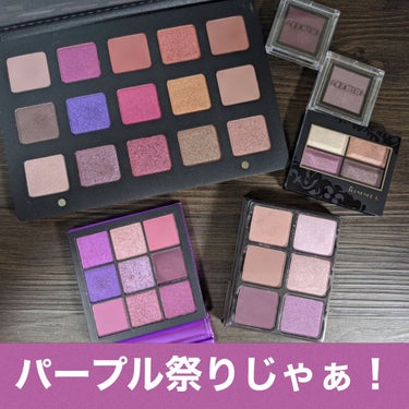 Theory Palette/VISEART/パウダーアイシャドウを使ったクチコミ（1枚目）