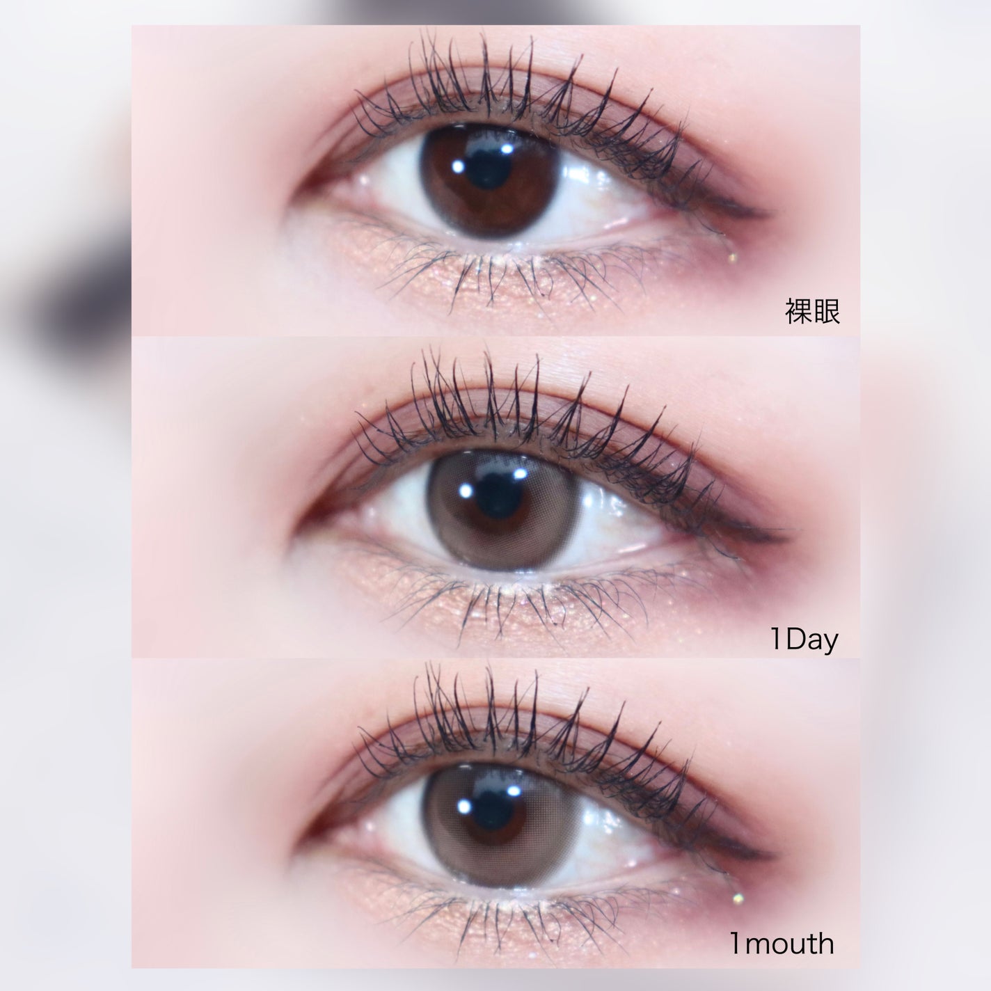 ピュアリティーシャインワンデー(PURITYSHINE 1day)/OLOLA/ワンデー(1DAY)カラコンを使ったクチコミ(7枚目)
