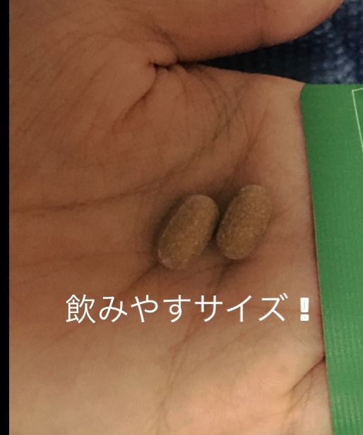 メタグリーンスリムアップ/VITALBEAUTIE/ボディサプリメントを使ったクチコミ（2枚目）