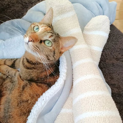 ぽかぽかカイロソックス/カイロソックス/暖かい靴下を使ったクチコミ(5枚目)