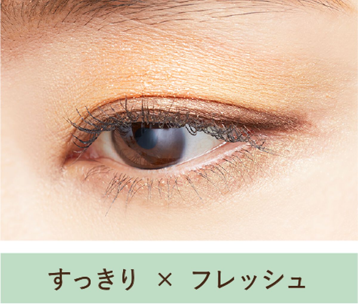 テ・ドルチェシャドウ EX02 メロンアラモード