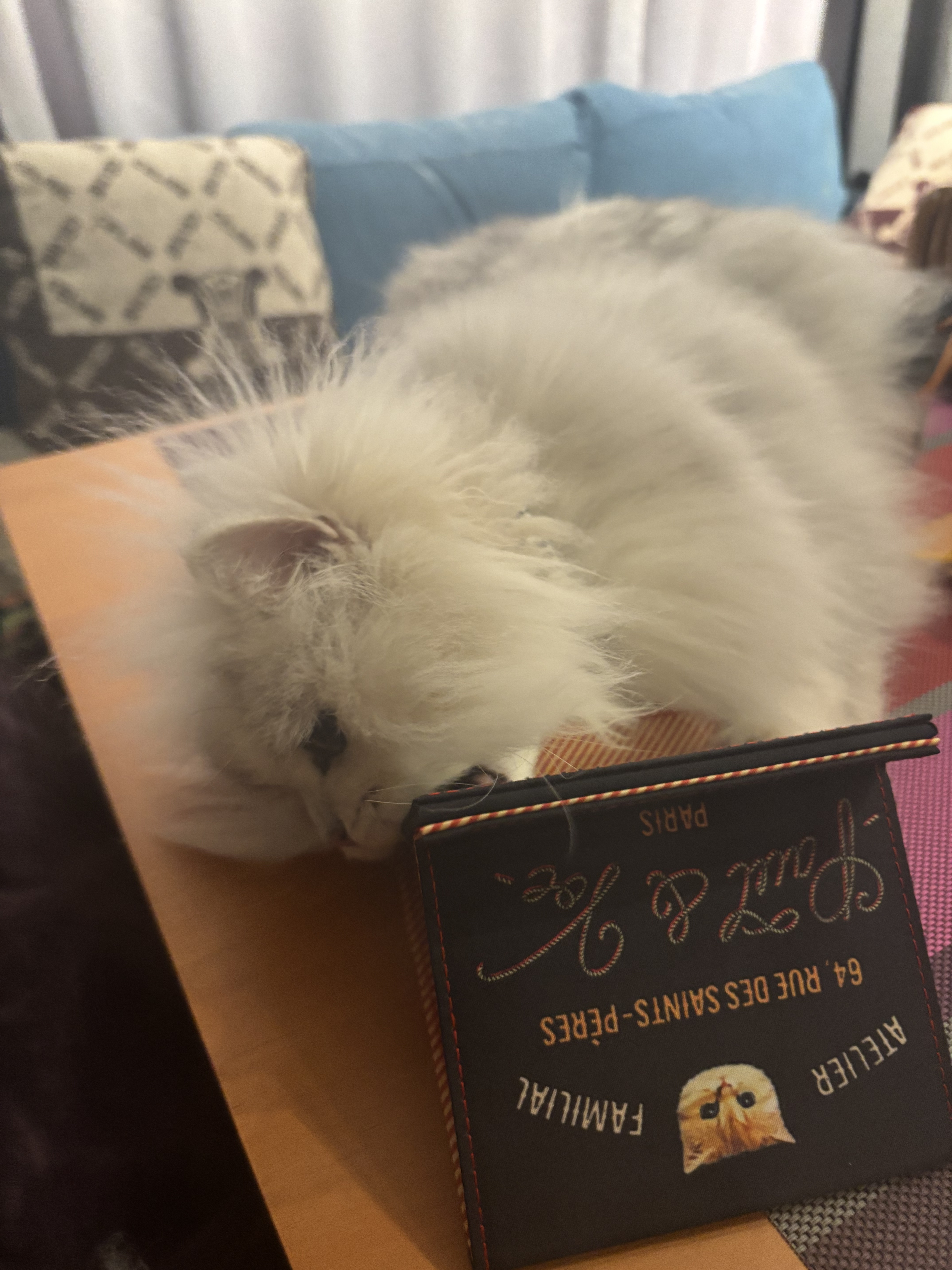 ポール＆ジョー/PAUL & JOE BEAUTE/その他化粧小物を使ったクチコミ（2枚目）