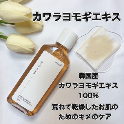 スキンケアトナー/CHAEB GONGGAN/化粧水を使ったクチコミ(3枚目)